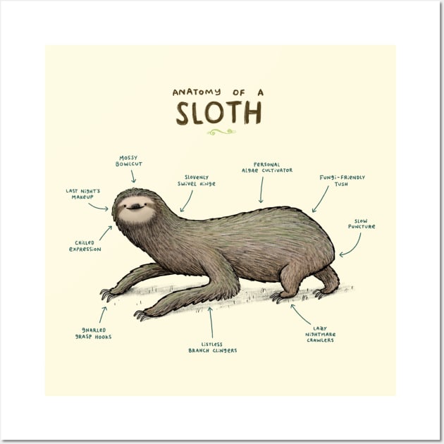 Anatomy of a Sloth Wall Art by Sophie Corrigan